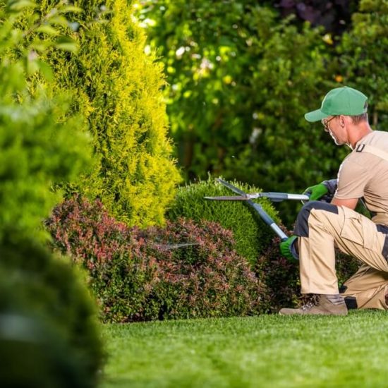 jardin bien aménagé